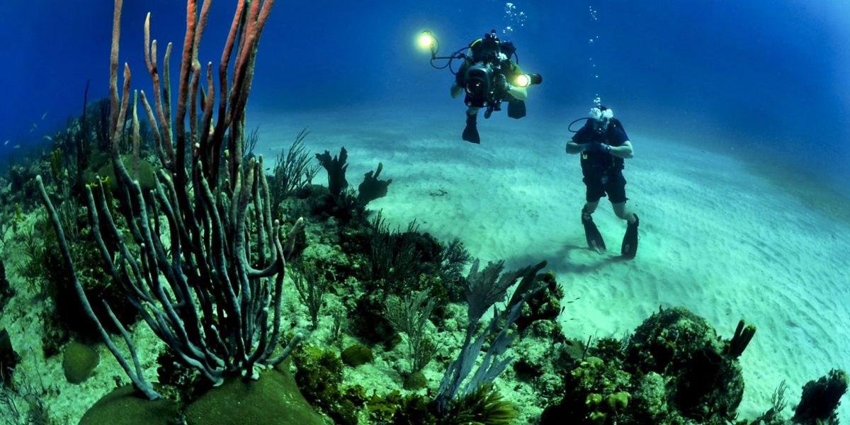divers-scuba-reef-underwater-37542