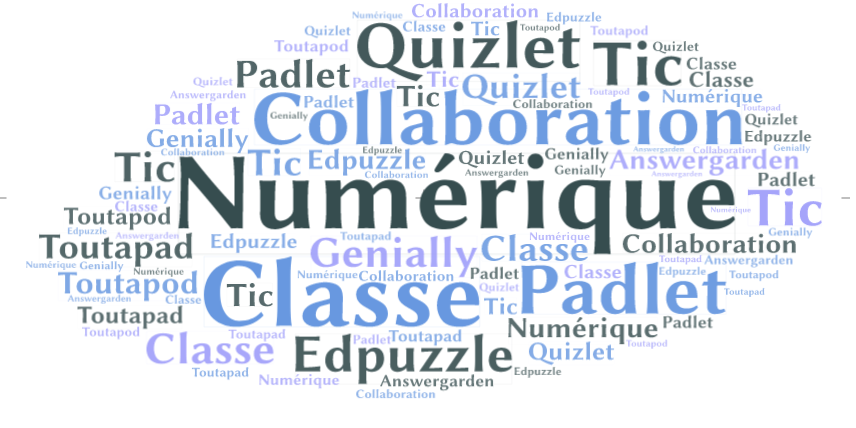 Capture nuage de mots numérique