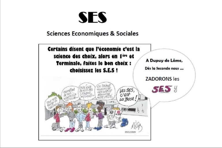 Ses Terminale Comment Est Structurée La Société Française Actuelle