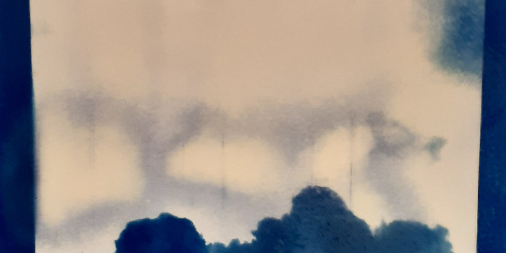 Cyanotype Mise en avant