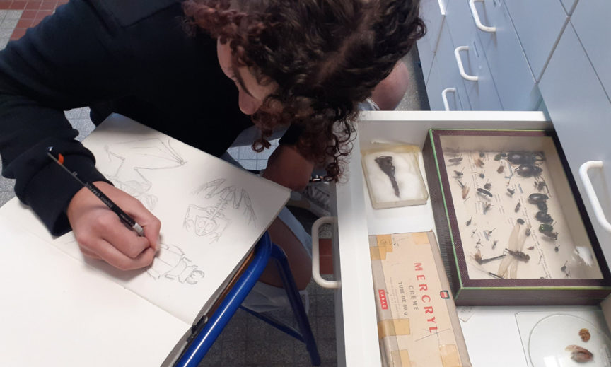 mise en avant Sylvain