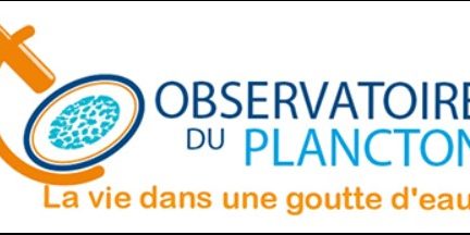 logo observatoire plancton